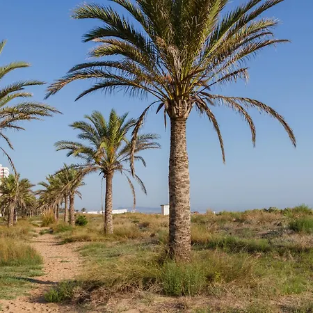 Mare De Deu Blanqueta דירה